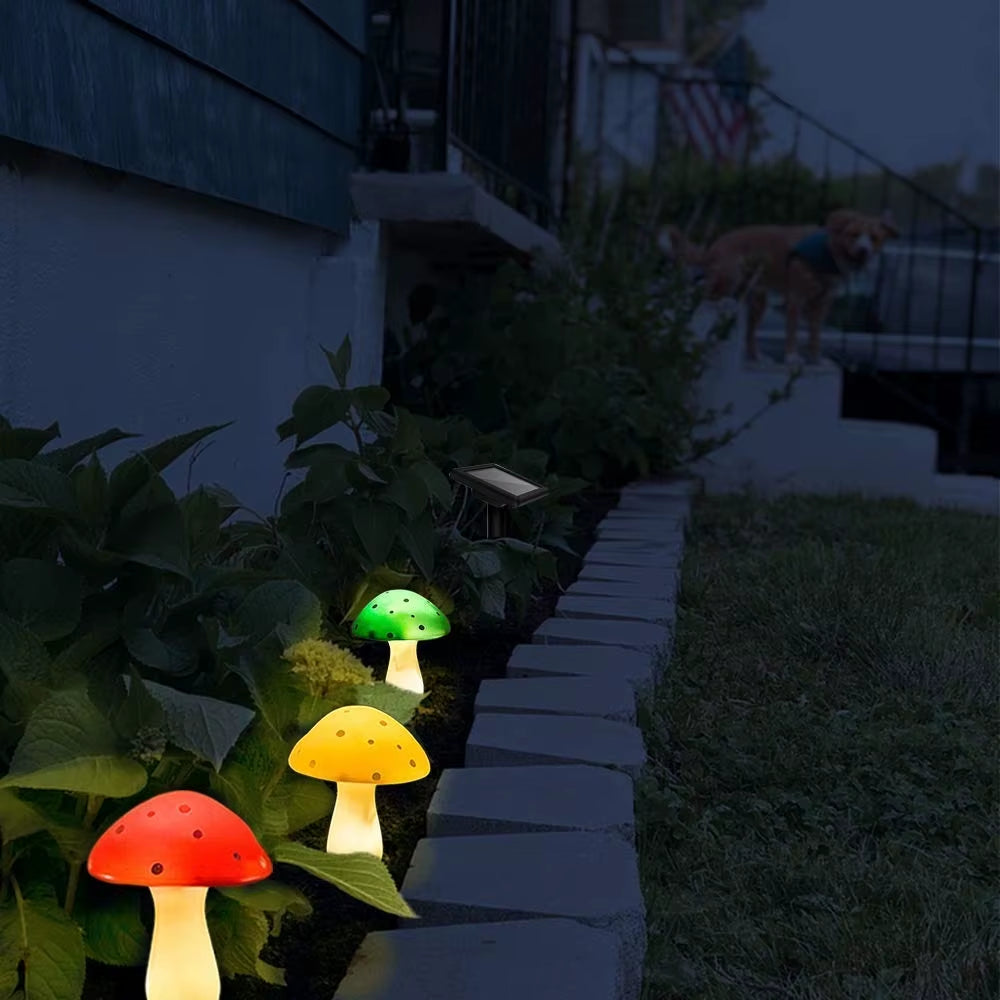 Kandrano — Kit Jardín Mágico: Luz Solar De Setas